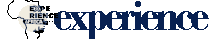 Experience Africa Today Logo