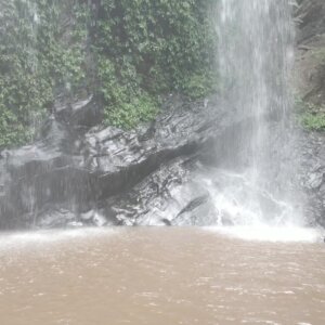 Waterfalls Pond Rocks Clean Vegetation