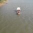 Outboard Motor Boat Volta River Aerial View