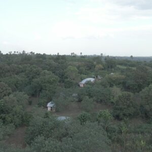 Remote Settlement Community Houses Forest