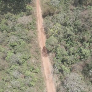 Forest Pathway Village Settlement Mud House Town