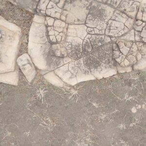 Sesiamang Rock Carvings Pan Top Down View