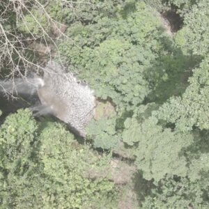 Top Down Spin View Beautiful